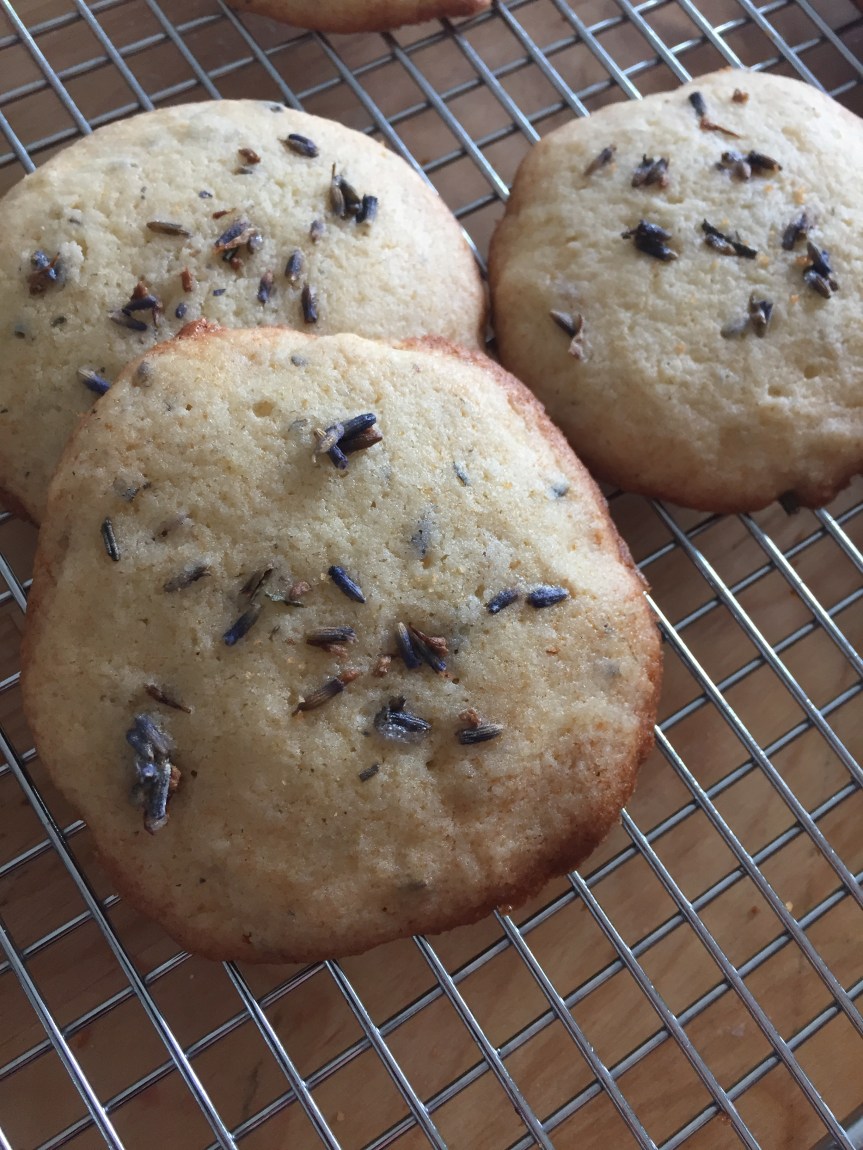 Lavender Honey Cookies